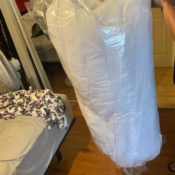 Quinceañera Dress size 10, with Slip - Picture 6 of 6